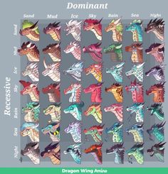 an image of different types of dragon wings and their names on the back of a poster