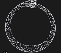 a white snake on a black background