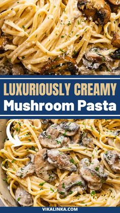 mushroom pasta with mushrooms and parmesan cheese in a white bowl