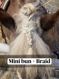 Pocahontas’s fluffy forelock made the perfect mini bun! Bun Braid, Mini Bun, Horse Ideas, Braided Bun