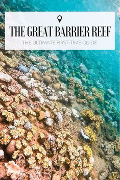 the great barrier reef with text overlay