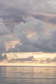 birds flying over the ocean at sunset with clouds in the sky and one bird on the water