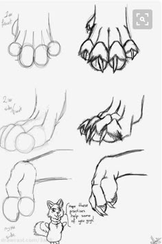 some drawings of hands and feet