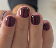 Burgundy Short Nails, Minimal Fall Nails, Nagellack Trends, Milky Nails, Dream Nails