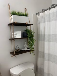 a bathroom with two shelves holding plants and books on the wall next to a toilet