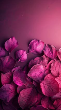 purple leaves are arranged in the shape of a heart on a dark pink background with space for text