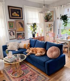 a dog laying on top of a blue couch in a living room next to a table