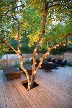 a tree with some lights on it in the middle of a wooden decking area