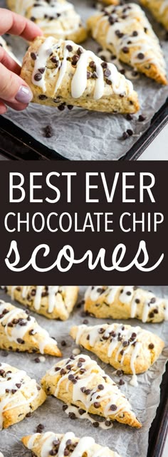 the best ever chocolate chip scones with white frosting on top and one in the middle