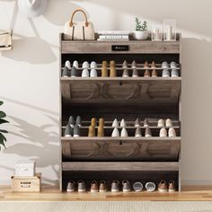 a shelf filled with lots of shoes next to a potted plant on top of a wooden floor