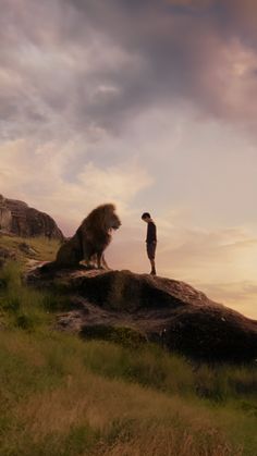 a man standing on top of a rock next to a lion