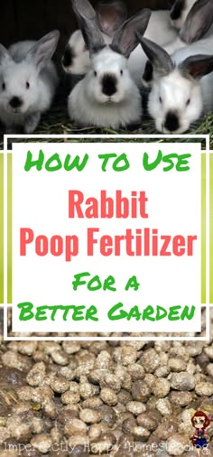 how to use rabbit poop fertilizer for a better garden