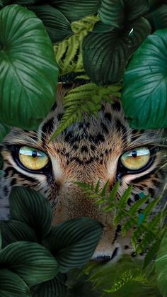 the eyes of a leopard surrounded by green leaves are glowing in the dark, with bright yellow - colored eyes