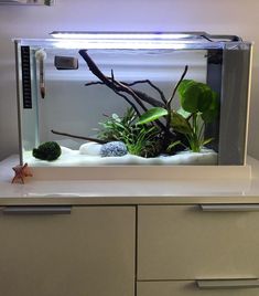 an aquarium filled with plants and rocks on top of a white counter next to drawers