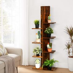 a living room filled with lots of potted plants on top of shelves next to a couch