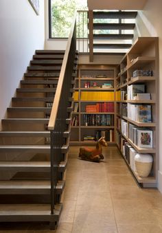 there is a dog laying on the floor in front of some bookshelves and stairs