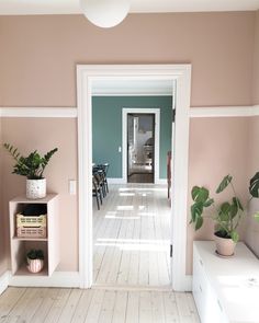 an open door leading to a living room with pink walls and white wood flooring