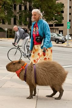 an old woman is walking her dog on the sidewalk while another man rides a bicycle behind her