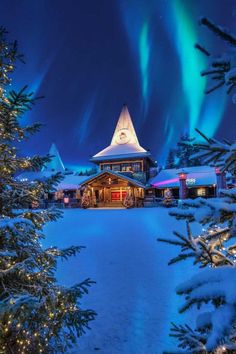 the aurora bore is lit up in the night sky over a snowy area with evergreen trees