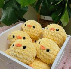 four small yellow chicks in a box on a pink blanket next to a potted plant