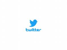 the twitter logo is blue and has a bird on it's back end,