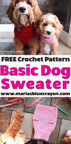 two small dogs wearing knitted sweaters with text overlay that says free crochet pattern basic dog sweater