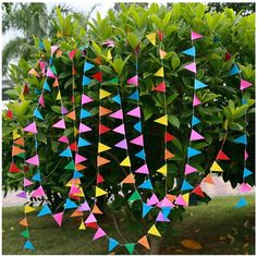 several colorful kites hanging from the top of a tree in front of some bushes