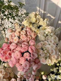 a bunch of pink and white flowers sitting next to each other