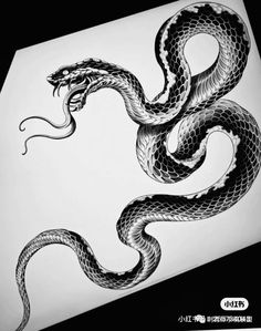 a black and white drawing of a snake