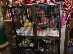 a bird cage filled with lots of birds inside of a room next to other items