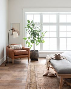 a living room with a couch, chair and potted plant on the floor in front of a window