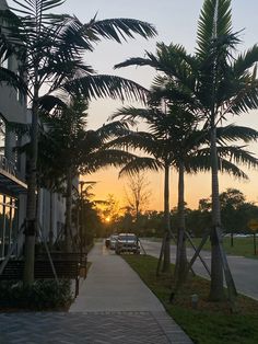 the sun is setting behind some palm trees and cars are parked on the side of the road