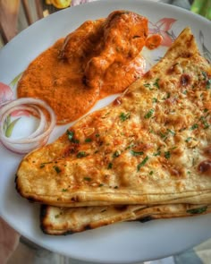 two quesadillas on a white plate with sauce and onions next to it