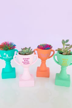 three vases with succulent plants in them