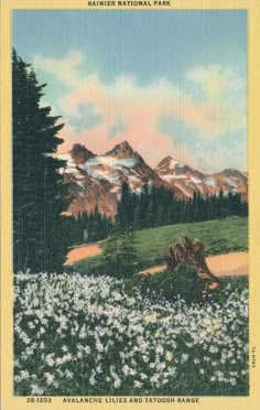 an old postcard with mountains in the background and flowers growing on the ground below