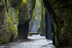 a river flowing between two large rocks in the middle of a forest filled with trees