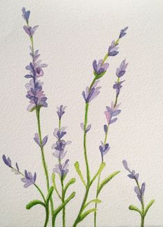 watercolor painting of purple flowers on white paper