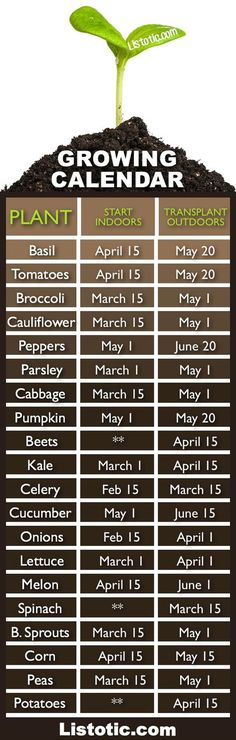 the growing calendar for march and may