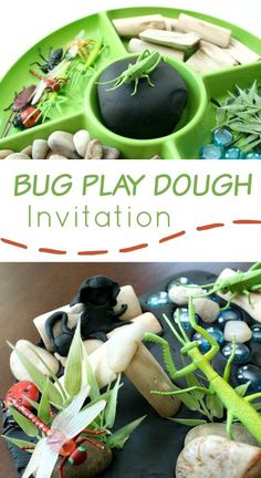 a bug play dough is shown with rocks and plants in the middle, and an image of