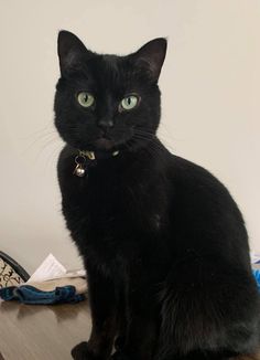 a black cat sitting on top of a wooden table