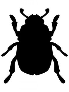 a bug silhouetted on a white background