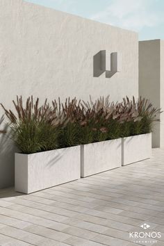 two planters on the side of a building