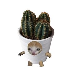 a cactus in a white pot with a sticker on it's face and legs