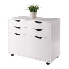 a white cabinet with four drawers and a potted plant sitting on top of it