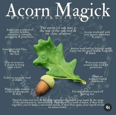 Hedge Witchcraft, Witchcraft Herbs, Herbal Education, Magickal Herbs, Green Witchcraft, Plant Magic, Witch Spirituality, Magic Spell Book, Magic Herbs