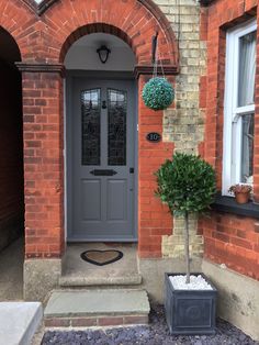 a grey front door with two potted plants