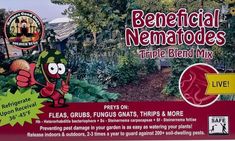 the label for beneficial nematodees time blend mix is shown in front of a garden