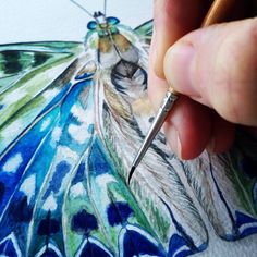 a drawing of a butterfly being drawn by someone's hand with a pen and watercolor pencil