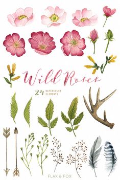 the wild rose watercolor clipart set includes pink flowers, green leaves and arrows