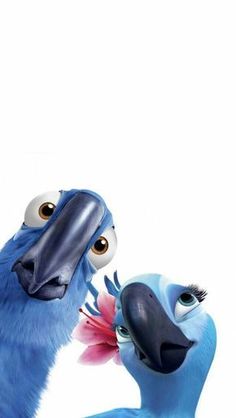 two blue birds are facing each other and one is looking at the other bird's face